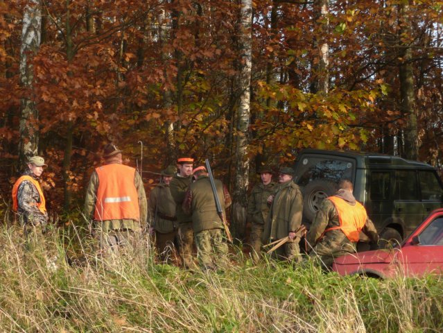 Polowania 26.10.08